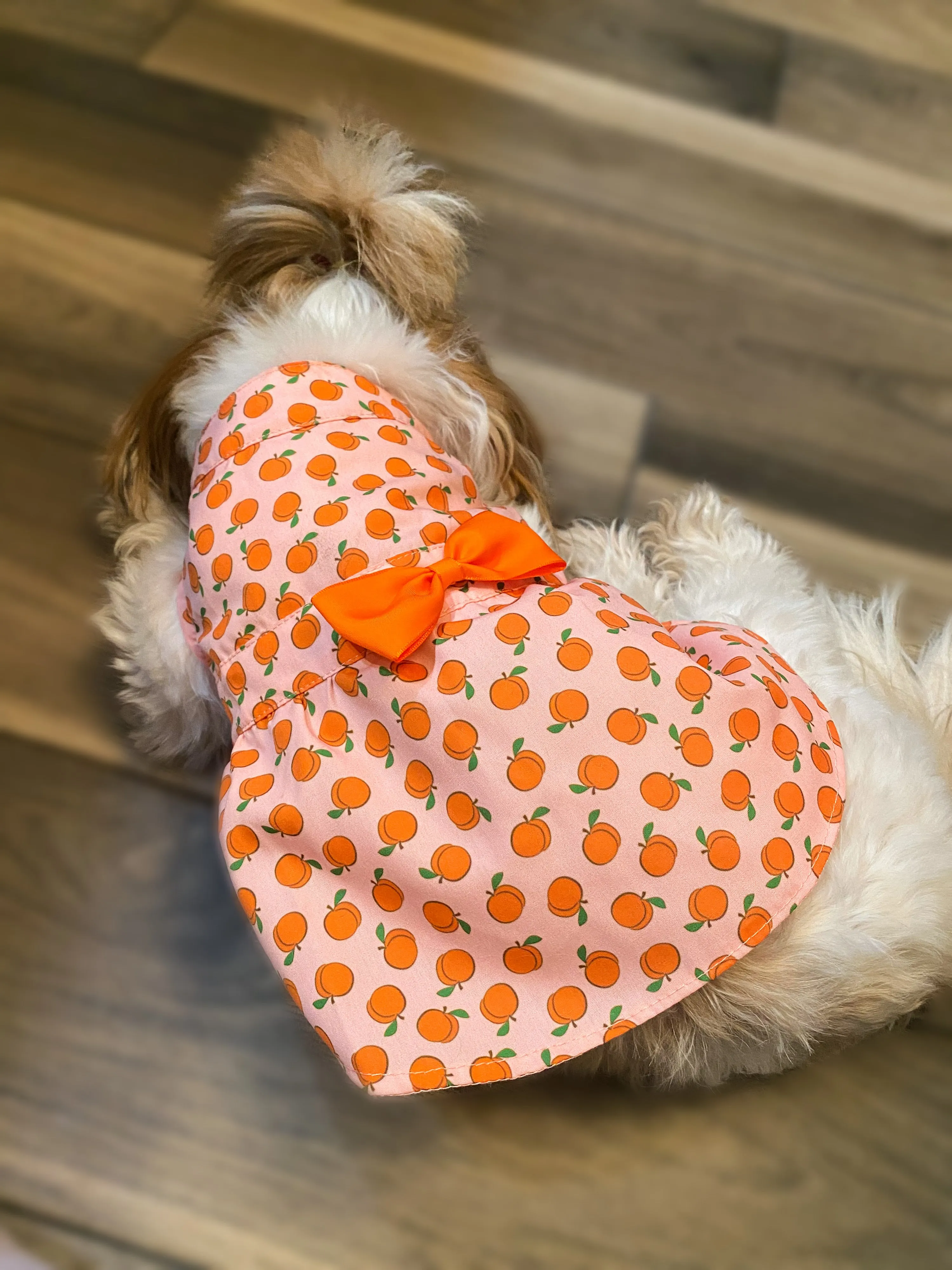 Dress | Peachy Keen