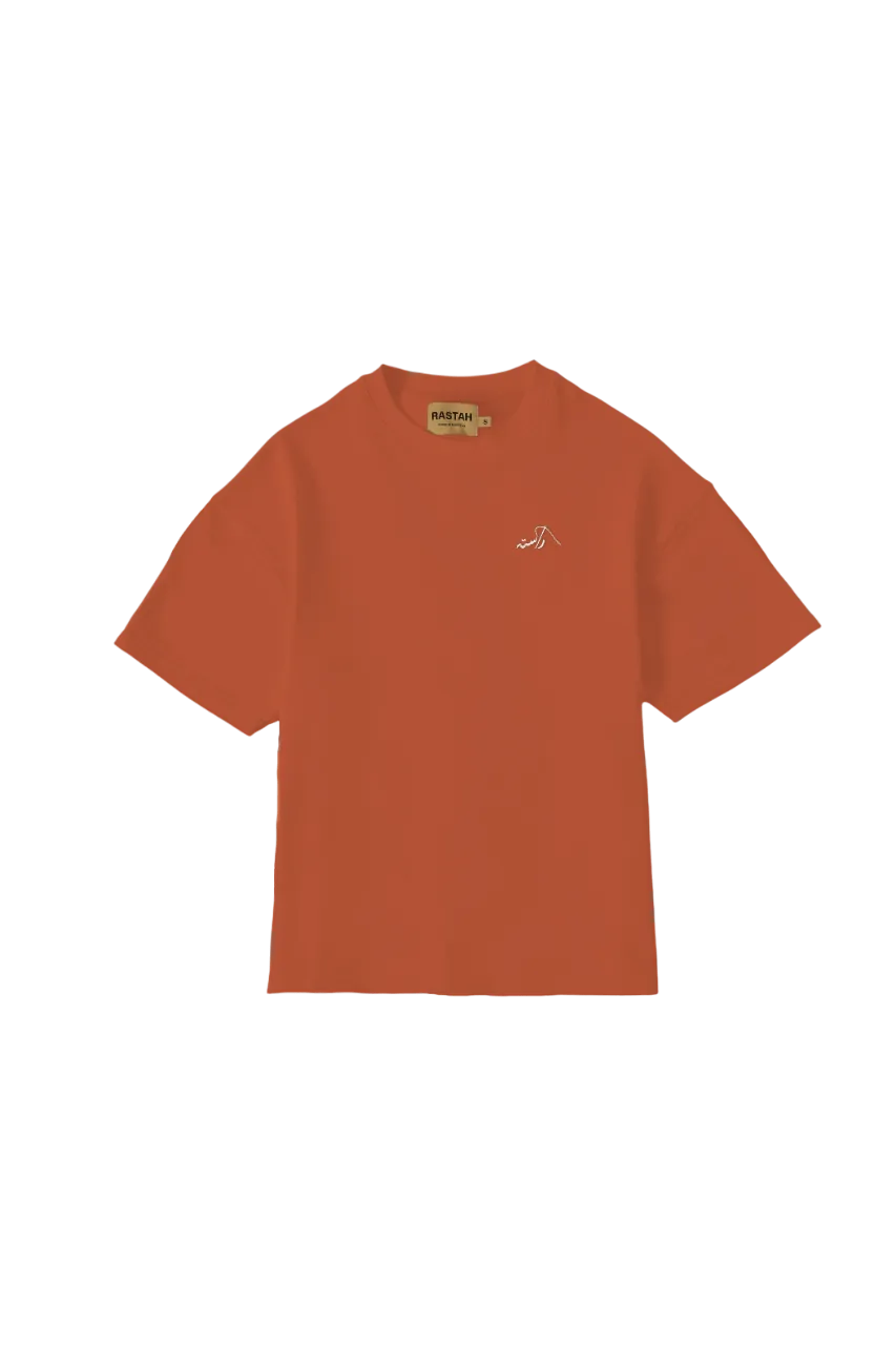 RUST ORANGE MADE IN PAK T SHIRT (v2)